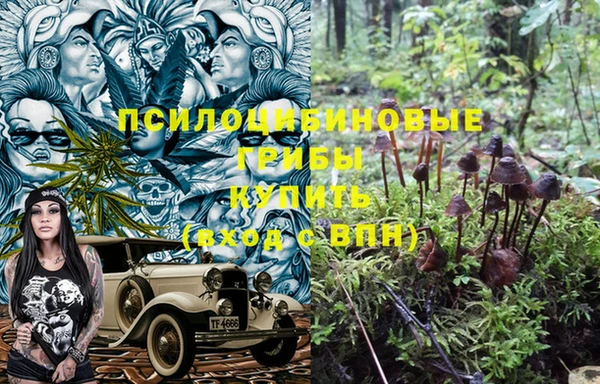 дурь Алексеевка