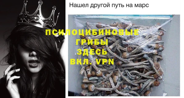 шишки Алзамай