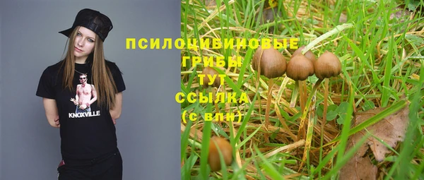 ешки Алексин